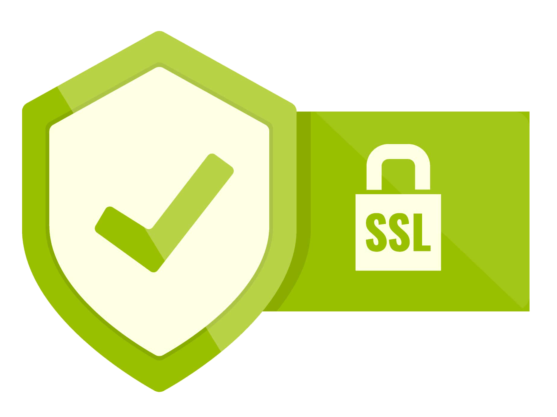 SSL encrypted secure connection
